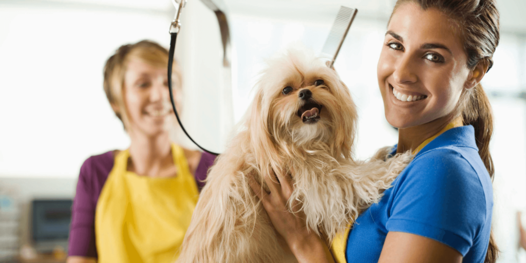 Pet groomer gently brushing a small dog on a grooming table in a professional salon.